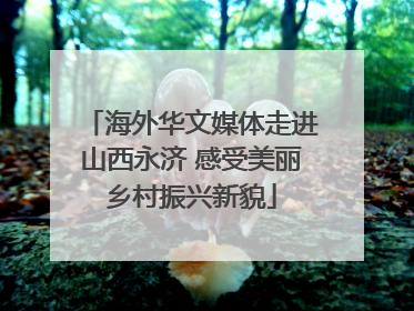 海外华文媒体走进山西永济 感受美丽乡村振兴新貌