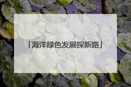 海洋绿色发展探新路