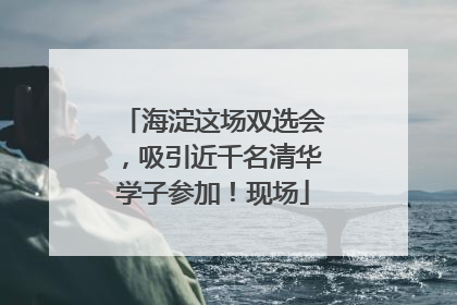 海淀这场双选会，吸引近千名清华学子参加！现场