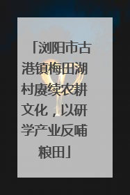 浏阳市古港镇梅田湖村赓续农耕文化，以研学产业反哺粮田