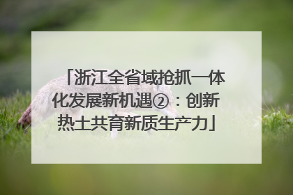 浙江全省域抢抓一体化发展新机遇②：创新热土共育新质生产力