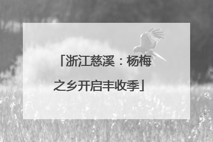 浙江慈溪：杨梅之乡开启丰收季