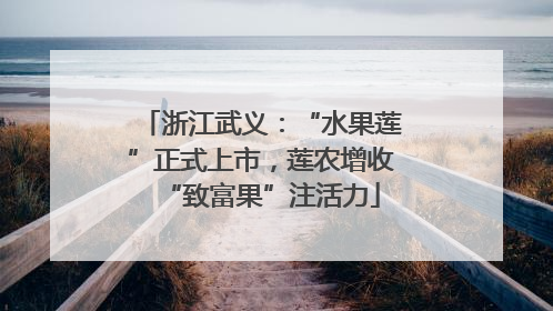 浙江武义：“水果莲”正式上市，莲农增收“致富果”注活力