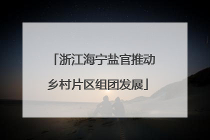 浙江海宁盐官推动乡村片区组团发展