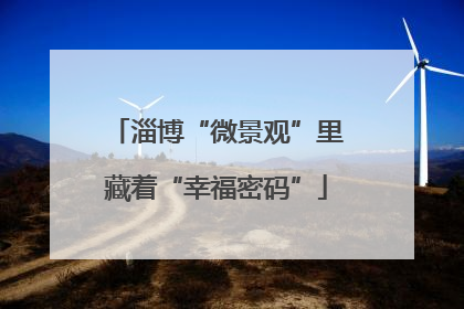 淄博“微景观”里藏着“幸福密码”