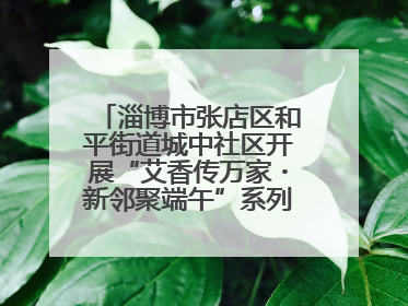 淄博市张店区和平街道城中社区开展“艾香传万家・新邻聚端午”系列端午节活动
