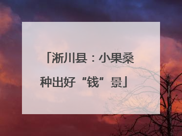 淅川县：小果桑种出好“钱”景