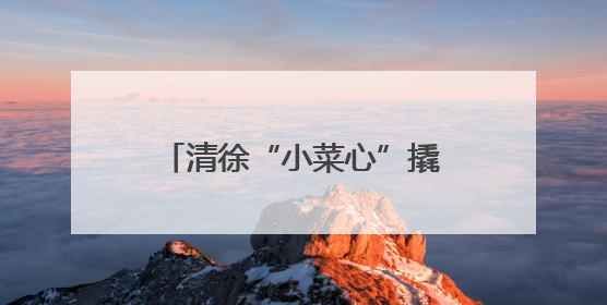 清徐“小菜心”撬动大市场 36小时直达粤港澳大湾区