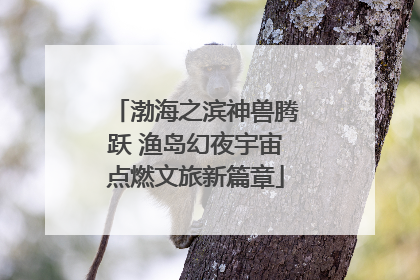 渤海之滨神兽腾跃 渔岛幻夜宇宙点燃文旅新篇章
