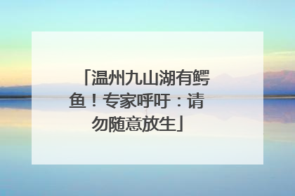 温州九山湖有鳄鱼！专家呼吁：请勿随意放生