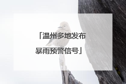 温州多地发布暴雨预警信号