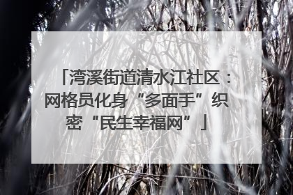 湾溪街道清水江社区：网格员化身“多面手”织密“民生幸福网”