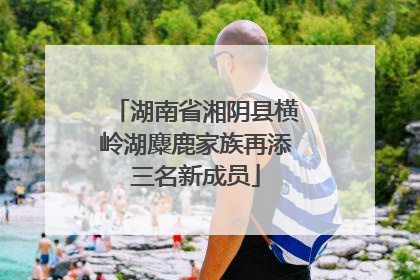 湖南省湘阴县横岭湖麋鹿家族再添三名新成员