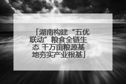 湖南构建“五优联动”粮食全链生态 千万亩粮源基地夯实产业根基