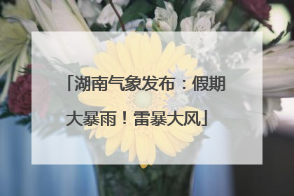 湖南气象发布：假期大暴雨！雷暴大风