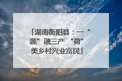 湖南衡阳县：一“莲”融三产 “荷”美乡村兴业富民