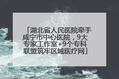 湖北省人民医院牵手咸宁市中心医院，9大专家工作室+9个专科联盟筑牢区域医疗网