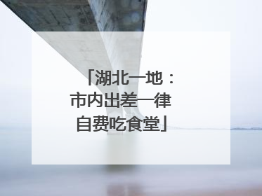 湖北一地：市内出差一律自费吃食堂