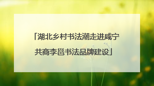 湖北乡村书法潮走进咸宁 共商李邕书法品牌建设