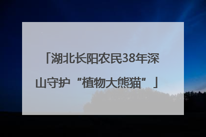 湖北长阳农民38年深山守护“植物大熊猫”