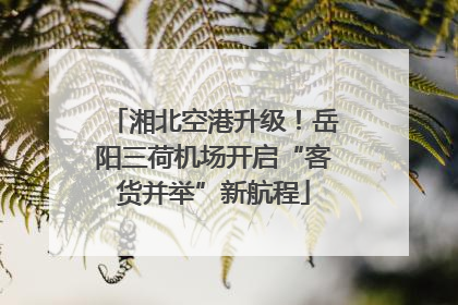 湘北空港升级！岳阳三荷机场开启“客货并举”新航程