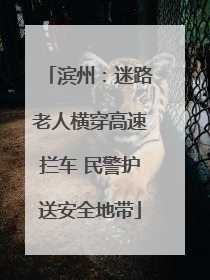 滨州：迷路老人横穿高速拦车 民警护送安全地带