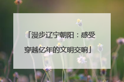 漫步辽宁朝阳：感受穿越亿年的文明交响