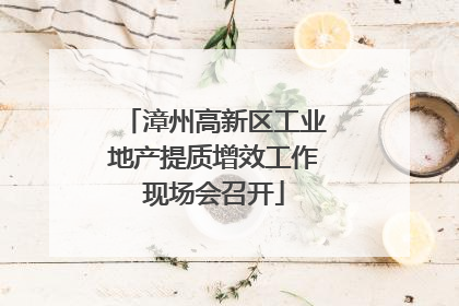 漳州高新区工业地产提质增效工作现场会召开