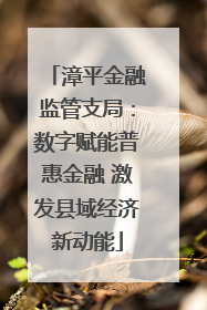 漳平金融监管支局：数字赋能普惠金融 激发县域经济新动能
