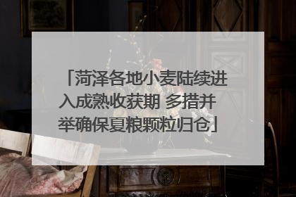 菏泽各地小麦陆续进入成熟收获期 多措并举确保夏粮颗粒归仓