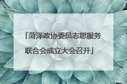 菏泽政协委员志愿服务联合会成立大会召开