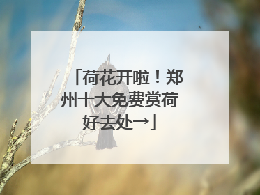 荷花开啦！郑州十大免费赏荷好去处→