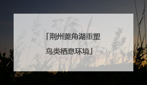 荆州菱角湖重塑鸟类栖息环境
