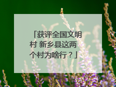 获评全国文明村 新乡县这两个村为啥行？