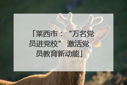 莱西市：“万名党员进党校” 激活党员教育新动能