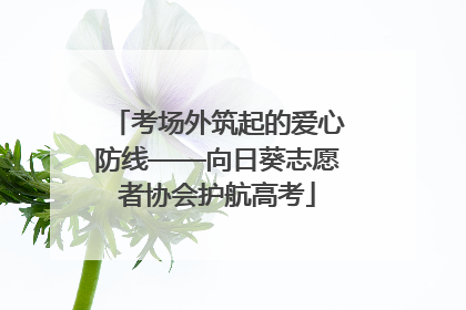 考场外筑起的爱心防线——向日葵志愿者协会护航高考