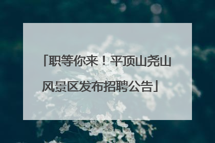 职等你来！平顶山尧山风景区发布招聘公告