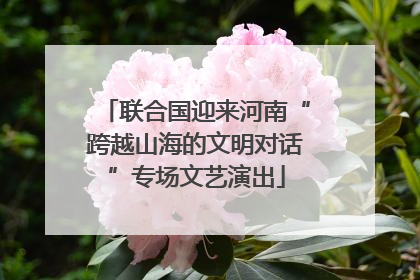 联合国迎来河南“跨越山海的文明对话”专场文艺演出