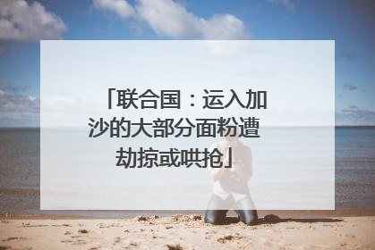 联合国：运入加沙的大部分面粉遭劫掠或哄抢