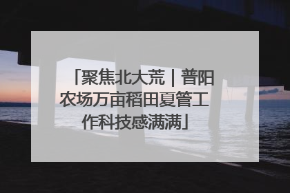聚焦北大荒｜普阳农场万亩稻田夏管工作科技感满满