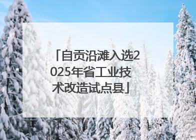 自贡沿滩入选2025年省工业技术改造试点县