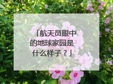航天员眼中的地球家园是什么样子？