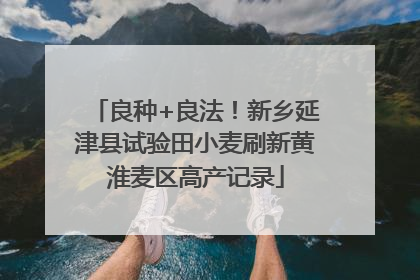 良种+良法！新乡延津县试验田小麦刷新黄淮麦区高产记录