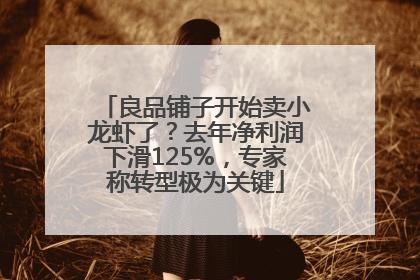 良品铺子开始卖小龙虾了？去年净利润下滑125%，专家称转型极为关键