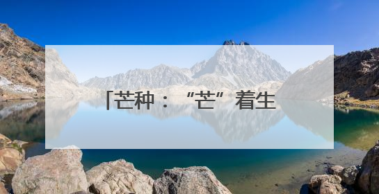 芒种：“芒”着生长，“种”下希望
