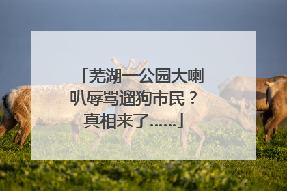 芜湖一公园大喇叭辱骂遛狗市民？真相来了……