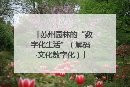 苏州园林的“数字化生活”（解码·文化数字化）