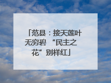 范县：接天莲叶无穷碧 “民主之花”别样红