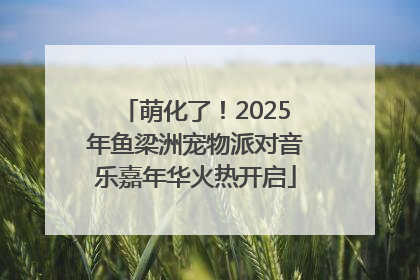 萌化了！2025年鱼梁洲宠物派对音乐嘉年华火热开启