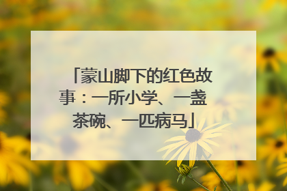 蒙山脚下的红色故事：一所小学、一盏茶碗、一匹病马
